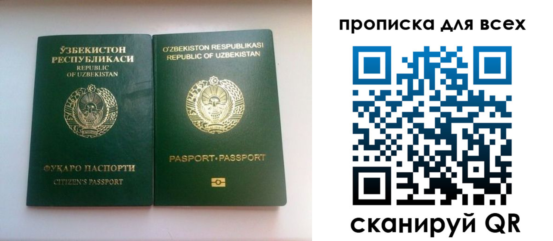 прописка для школы в Вологде